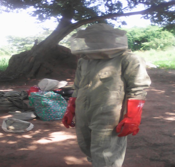 More bee suits and gloves supplied to farmers group.